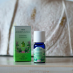 Eucalipto Citriodora